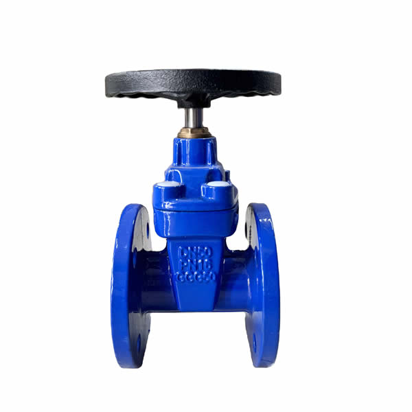 Gate Valve